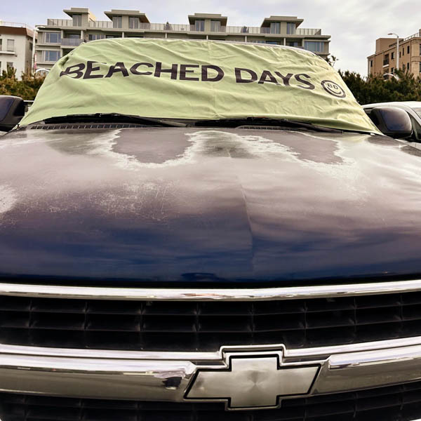 ビーチドデイズ マグネティック ビーチタオル / 車への固定イメージ2