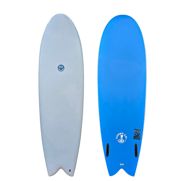 アクアティックディビジョン 