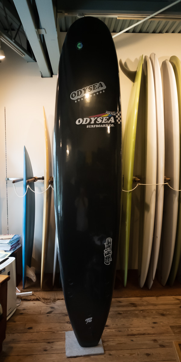 CATCH SURF