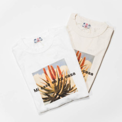 ユーエムアイ フォトTシャツ ミカサティー / UMI MI CASA Tee