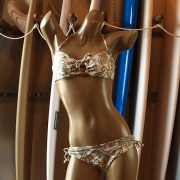 sugar ship