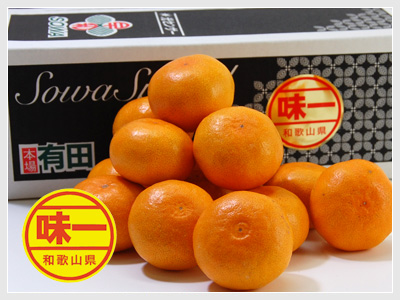 S-味こいみかんミニ 2S １０kg　