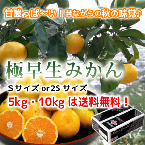 S-極早生みかん・Ｓサイズ5kg