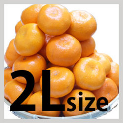 S-２Ｌサイズ５kg
