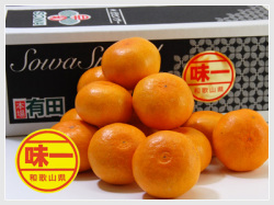 S-味こいみかんミニ 2S １０kg　