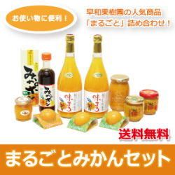 S-まるごとみかんセット （R）