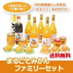 S-まるごとみかんファミリーセット （R）