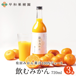 S-飲むみかん　720ｍｌ　3本入り