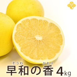 S-早和の香4kg