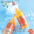 S-有田みかんサイダー250ml　24本入り