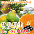 S-ゆら早生・ミニサイズ10kg【送料無料】