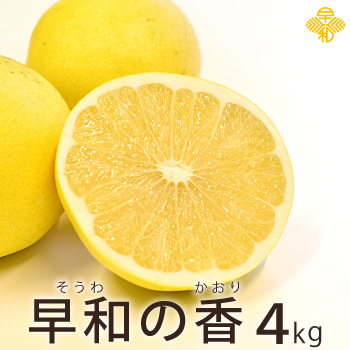 S-早和の香4kg