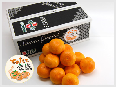 S-味まろみかん大玉 １０kg