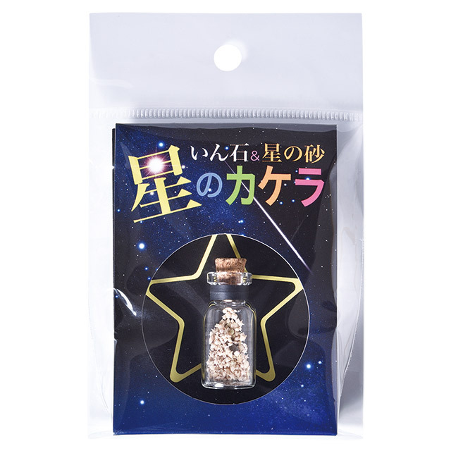 2503新商品