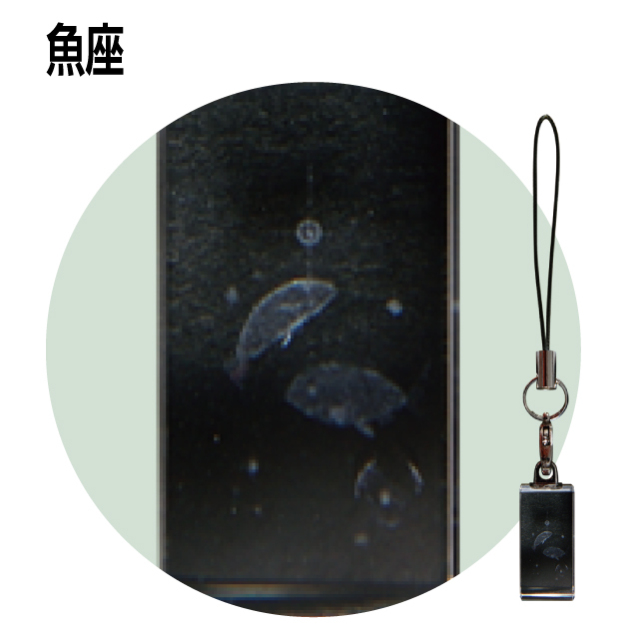 12星座3Dクリスタルストラップ