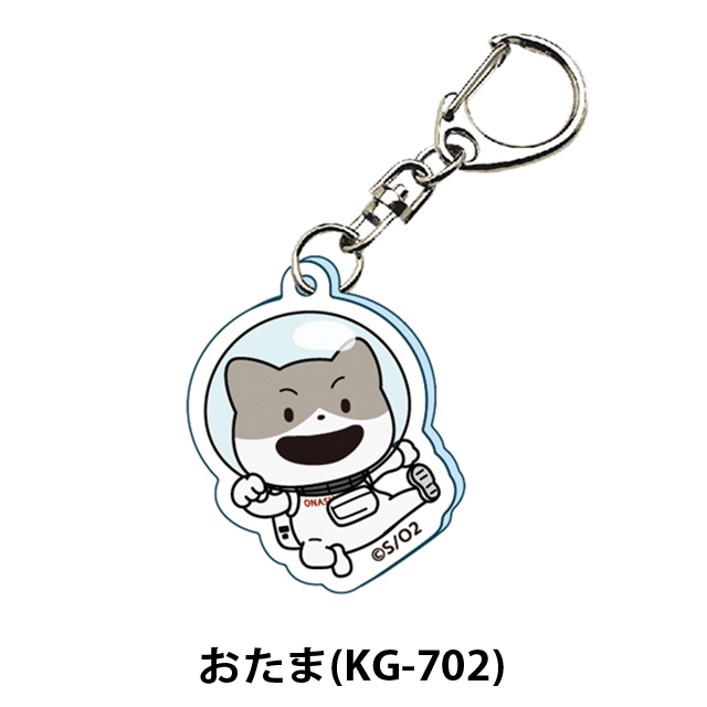 202311登録分