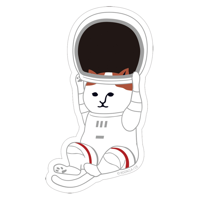 宇宙グッズ】リラックマぬいぐるみJAXA Ver.02