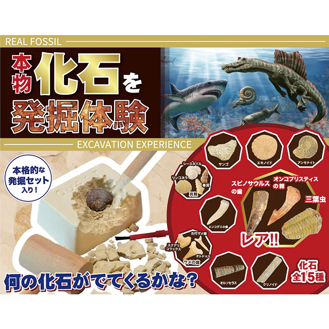 触れる図鑑シリーズ [化石発掘体験]