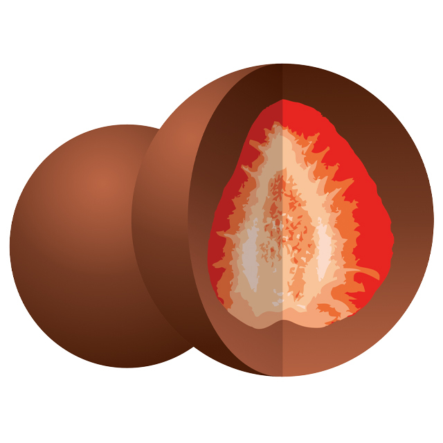 2023/12 宇宙食登録分