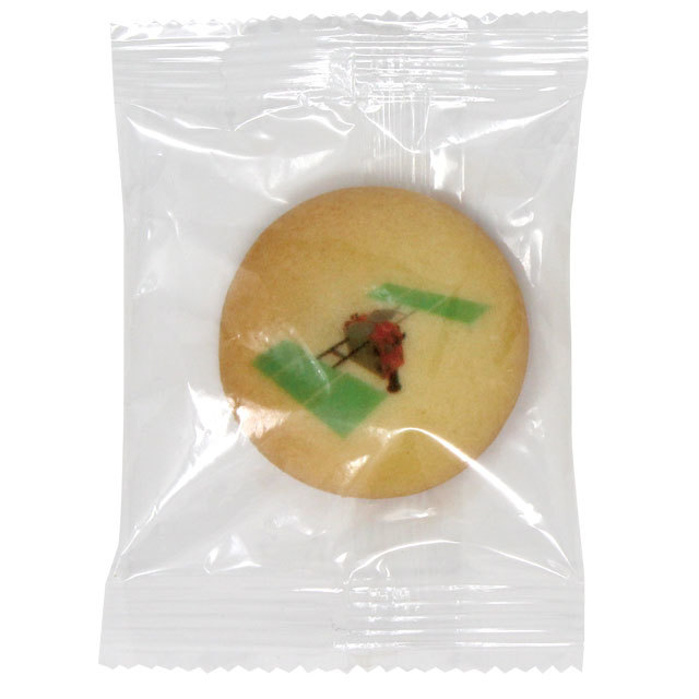 【宇宙のお菓子】はやぶさ2チョコインクッキー