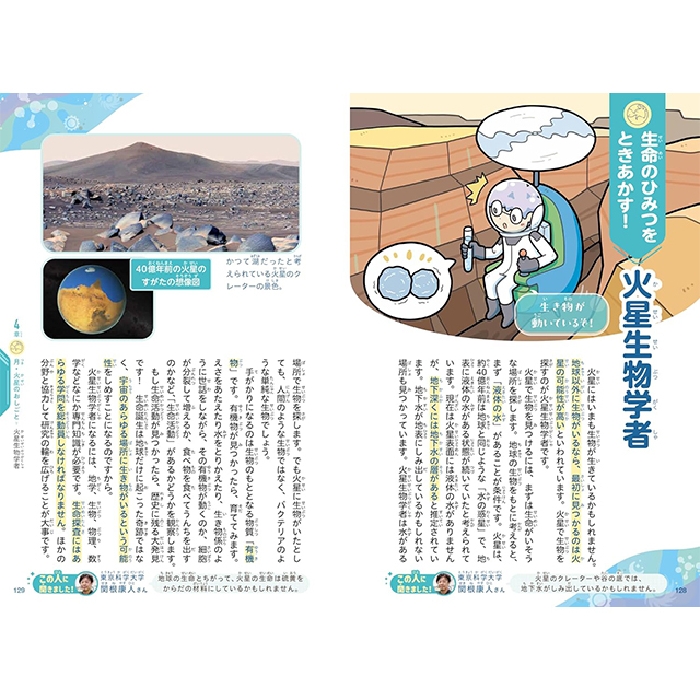 2025/0129 新商品登録