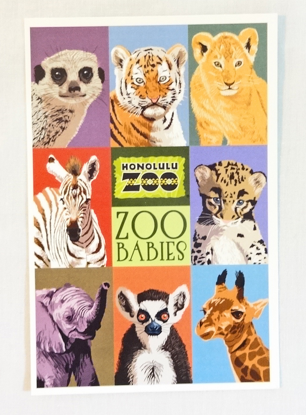 【ホノルルZOO限定】ハワイアン・ポストカード/Zoo Babies