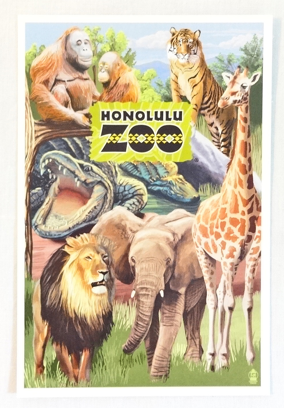 【ホノルルZOO限定】ハワイアン・ポストカード/Zoo Montage
