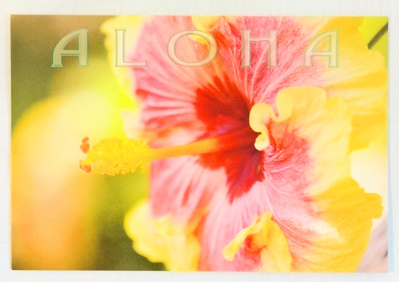 ハワイアン・ポストカード/ハイビスカス