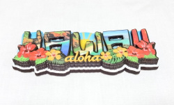 ハワイアンマグネット/HAWAII