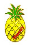 【在庫処分セール品】ハワイアン・ピンバッチ/パイナップル