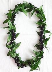 mk※ ハワイアン ククイナッツ 40個 ×3０セット匿名配送 楽天市場】ククイナッツの通販