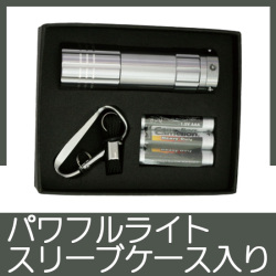 パワフル9LEDライトセット