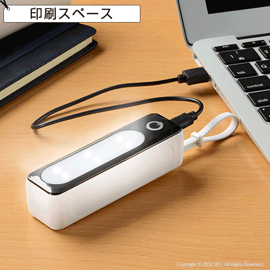 ライティングバッテリー5000 | 創立・周年記念品にお勧め ライティングバッテリー5000