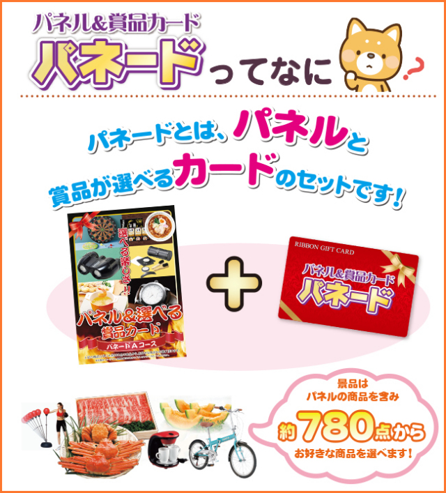 パネードセット 【 4800円 10点 】 パネード