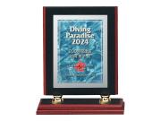 表彰状（つい楯）　A