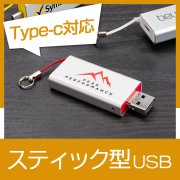 スティック型USBメモリ（SLI）