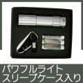 パワフル9LEDライトセット