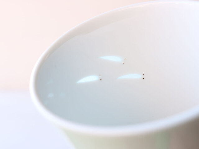 ホタル彫り メダカカップ（大）波佐見焼