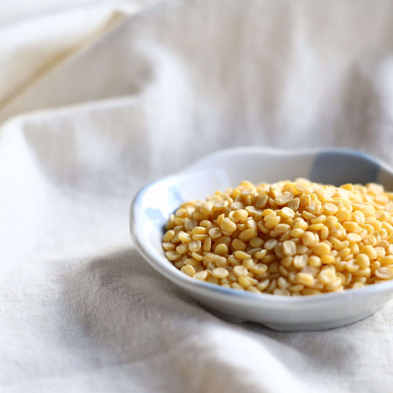 ムングダル_スパイスのガネーシャ