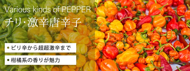 チリ・激辛唐辛子