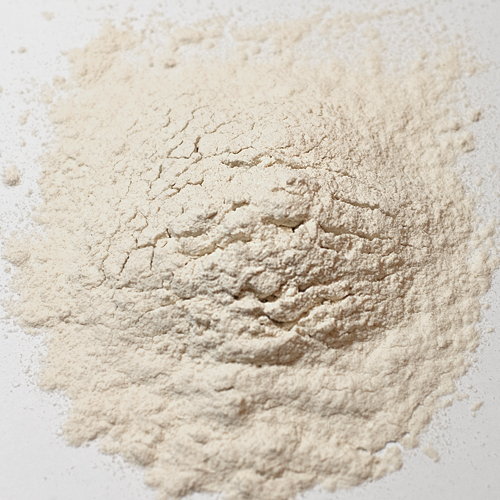 オニオンパウダー（パウダースパイス）