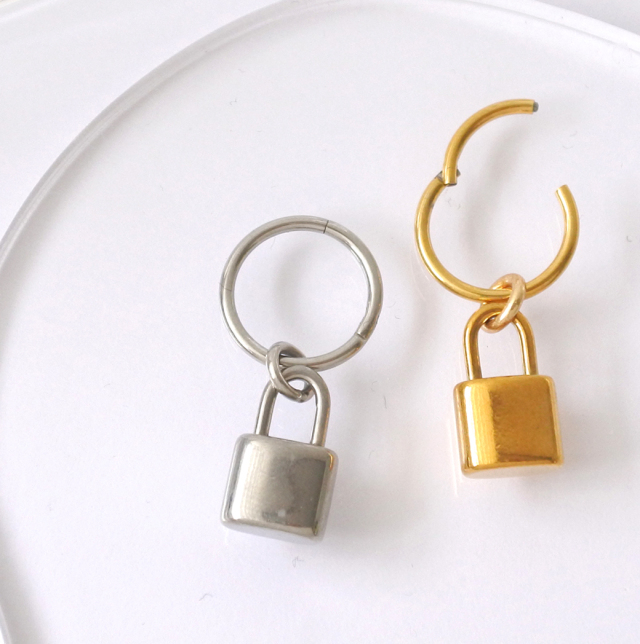 16G 14G ］ パドロック 南京錠 モチーフ セグメントリング 進化