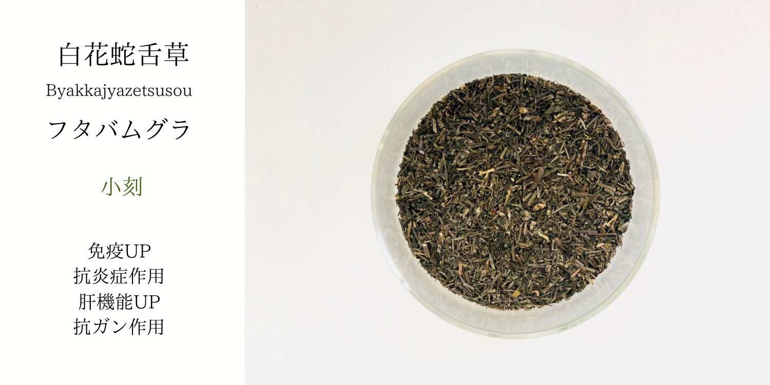 【メール便可】　白花蛇舌草
