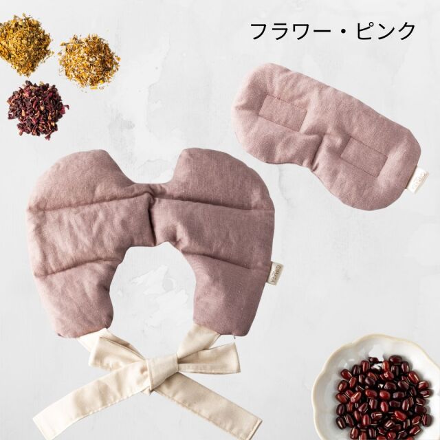 アオイガイ　葵貝　大小19個セット アオイガイ 葵貝 大小19個セット アオイガイ 葵貝 大小19個セット 2025年