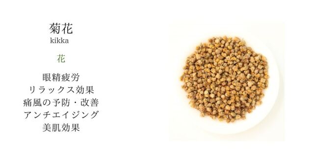 【メール便可】　菊花
