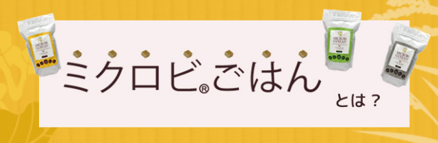 ミクロビごはんとは