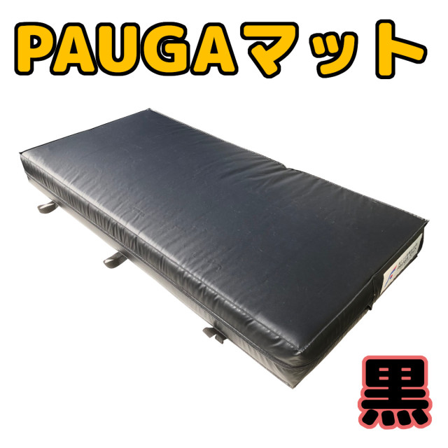 PAUGAB1