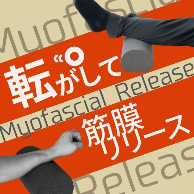 920円 から厳選した ヨガポール フォームローラー 筋膜リリース ストレッチ用ポール ショートポール ハーフ コンパクト エクササイズ ダイエット器具 ストレッチ マッサージ 920円 から厳選した ヨガポール フォームローラー 筋膜リリース ストレッチ用ポール ショートポール ハーフ コンパクト エクササイズ ダイエット器具 ストレッチ マッサージ