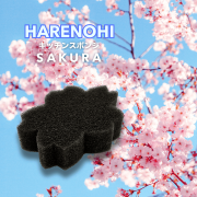 sakura-1