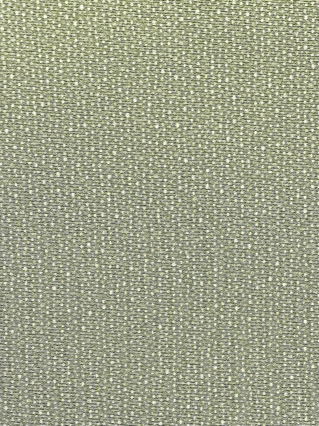 伊勢型写 両面小紋